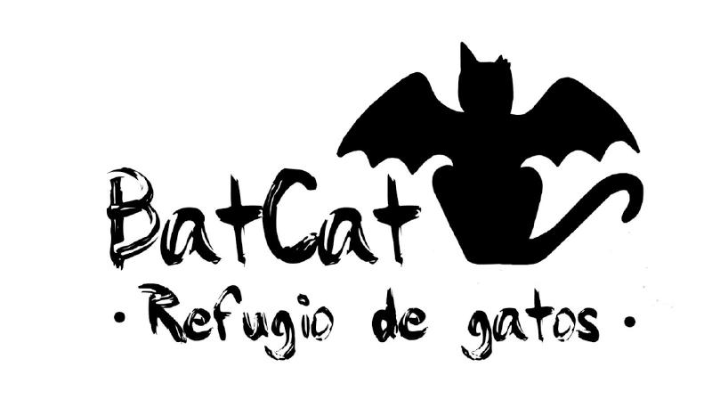 Featured image of post BatCat - Nuestro refugio