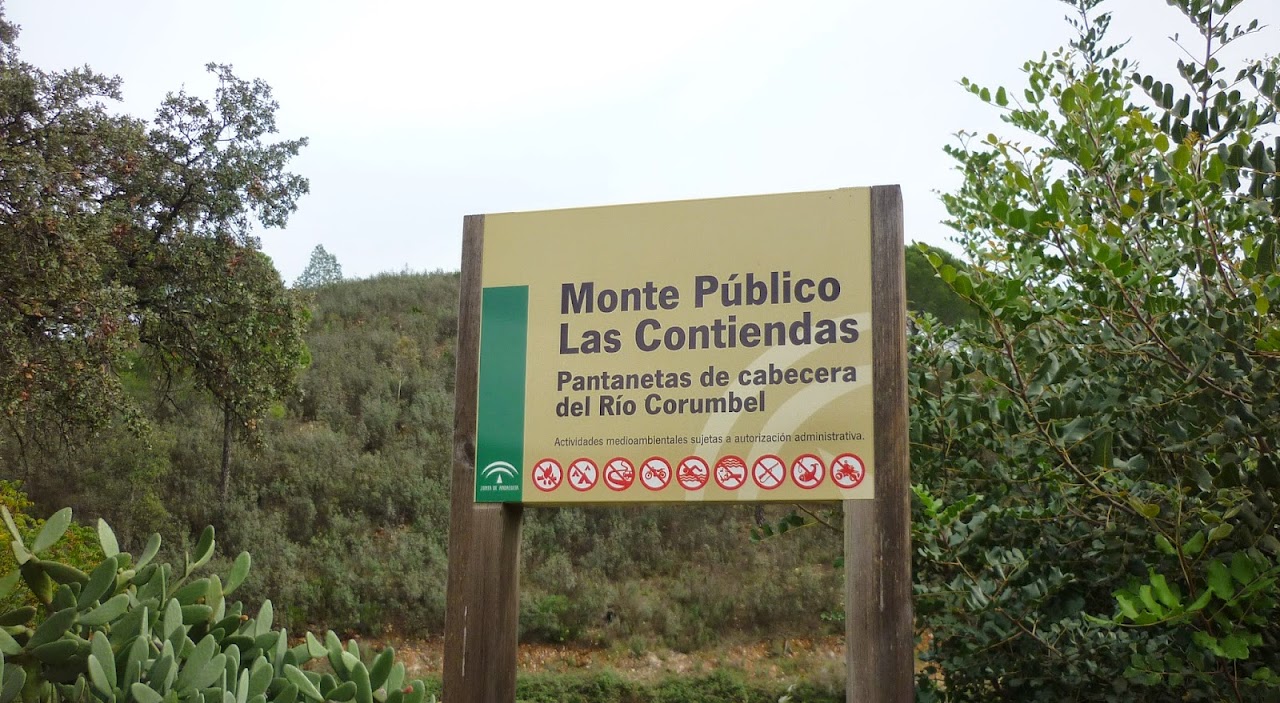 Monte Publico Las Contiendas